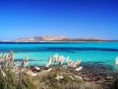 /album/fotogaleria/sardinia-stintino-asinara-jpg/